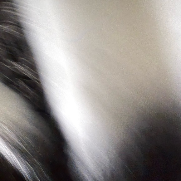 Melissa McCarthy Black and White Faux Fur Vest - Picture 3 of 6